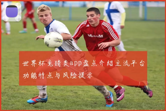 世界杯竞猜类app盘点介绍主流平台功能特点与风险提示