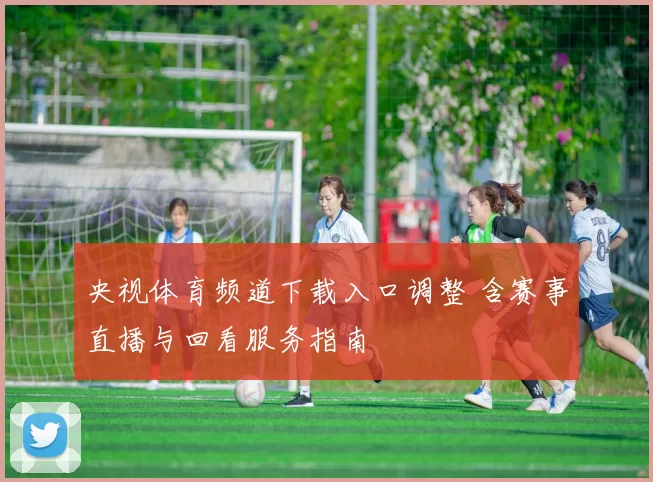 央视体育频道下载入口调整 含赛事直播与回看服务指南